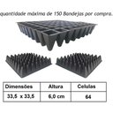 Ver imagem 2 de Kit 40 Bandeja Sementeira Para Produção De Mudas 64 Células