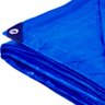 Lona Carreteiro 100 Micras Leve 3 x 8 Metros Azul APM7020008 REXON - 2