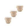 Kit 3 Vasos de Flores Plantas Cachepot 3D Floreira de Mesa Decor 700ml Plasvale Pequeno Borboletas - 1
