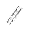 Ver imagem 1 de Prego de Aço 10x10 com Cabeça 1kg