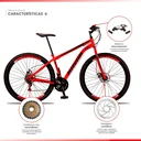 Ver imagem 2 de Bicicleta Aro 29 Bike Aço 21 Marchas Velocidades Freio a Disco:ferrari