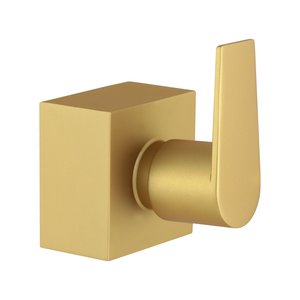 Acabamento para Registro Banheiro 1.1/4 1.1/2 50mm Quadrado Alavanca Dourado Fosco Chuveiro Padrão D