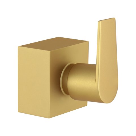 Acabamento para Registro Banheiro 1.1/4 1.1/2 50mm Quadrado Alavanca Dourado Fosco Chuveiro Padrão D