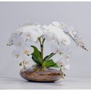 Ver imagem 4 de Arranjo Flores Orquídeas Artificial Branca Com Vaso Lucca