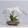 Arranjo Flores Orquídeas Artificial Branca Com Vaso Lucca - 4