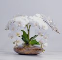 Ver imagem 4 de Arranjo Flores Orquídeas Artificial Branca Com Vaso Lucca