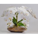 Ver imagem 1 de Arranjo Flores Orquídeas Artificial Branca Com Vaso Lucca