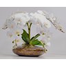 Arranjo Flores Orquídeas Artificial Branca Com Vaso Lucca - 1