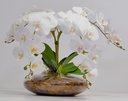 Ver imagem 1 de Arranjo Flores Orquídeas Artificial Branca Com Vaso Lucca