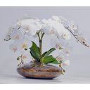Ver imagem 2 de Arranjo Flores Orquídeas Artificial Branca Com Vaso Lucca