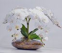 Ver imagem 2 de Arranjo Flores Orquídeas Artificial Branca Com Vaso Lucca