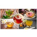 Ver imagem 4 de Chaleira com Infusor em Inox e Vidro 800ml para Chás Gourmet em Casa Decorativa