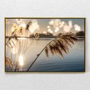Ver imagem 1 de Quadro Decorativo Juncos no Lago ao Amanhecer Com Moldura e Sem Vidro 90x140