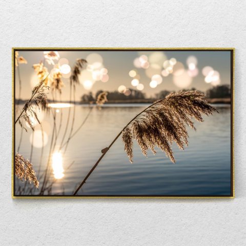 Quadro Decorativo Juncos no Lago ao Amanhecer Com Moldura e Sem Vidro 90x140
