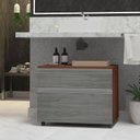 Ver imagem 1 de Gabinete para Banheiro com Rodízio 60cm 2 Gavetas Safira Inferior