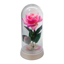 Ver imagem 1 de Linda Redoma com Rosa Preta , Inspirada na a Rosa Encantada do Filme a a Bela e a Fera e do o - Rosa