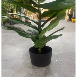Planta Artificial Ficus Lyrata Planta Decoração Sala 1.00m - 8