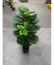 Ver imagem 4 de Planta Artificial Ficus Lyrata Planta Decoração Sala 1.00m