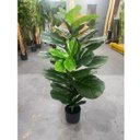 Ver imagem 5 de Planta Artificial Ficus Lyrata Planta Decoração Sala 1.00m