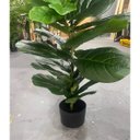 Ver imagem 3 de Planta Artificial Ficus Lyrata Planta Decoração Sala 1.00m