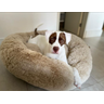 Cama Nuvem Gigante Cachorros Luxo Xg 100x100:bege - 6