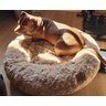 Cama Nuvem Gigante Cachorros Luxo Xg 100x100:bege - 3