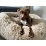 Cama Nuvem Gigante Cachorros Luxo Xg 100x100:bege - 5