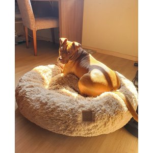 Cama Nuvem Gigante Cachorros Luxo Xg 100x100:bege