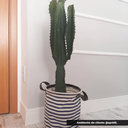 Ver imagem 1 de Rodameio Boiserie Eva Autocolante 2,3cm Rm61 | Valor do Metro