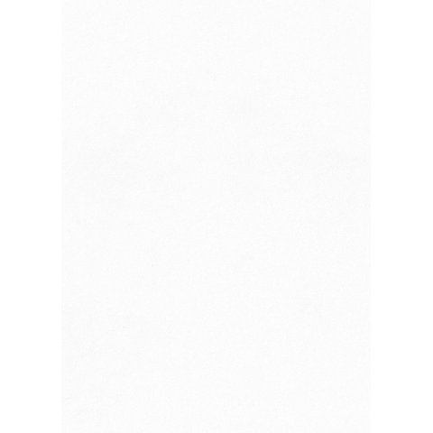 Papel de Parede Flora Botânica Tropical Chic 84384