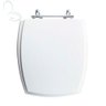 Assento Sanitário Tampa de Vaso Branco Resina Poliester Anturius para Bacia Luzarte - 1