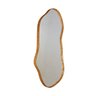 Espelho Decorativo Orgânico 119 X 44,5 Cm Eloá - 3