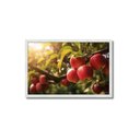 Ver imagem 1 de Quadro Decorativo Maçãs: Mod. 0373 Collor-ink Mod.0373 60 X 90cm Branco