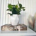 Ver imagem 3 de Decoração sala quarto livro fake + vaso bojo branco decor