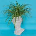 Ver imagem 2 de Cachepot Escultura de Davi Michelangelo Branco