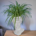 Ver imagem 3 de Cachepot Escultura de Davi Michelangelo Branco