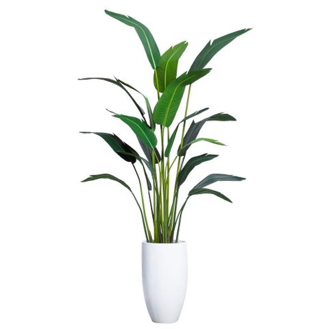 Planta Bananeira Ravenala 18 Folhas Palmeira 310cm Folhagem