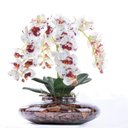 Ver imagem 1 de Arranjo 4 Orquídeas Artificiais Tigre em Terrário Incolor Vicky