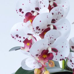 Arranjo 4 Orquídeas Artificiais Tigre em Terrário Incolor Vicky - 3