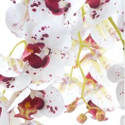 Arranjo 4 Orquídeas Artificiais Tigre em Terrário Incolor Vicky - 2