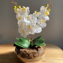 Ver imagem 1 de Arranjo Centro de Mesa Vaso Grande 2 Orquídeas Branca Artificial Decore Fácil Shop