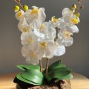 Ver imagem 2 de Arranjo Centro de Mesa Vaso Grande 2 Orquídeas Branca Artificial Decore Fácil Shop