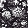 Papel de Parede Temático Floral Preto e Branco - 3,30x0,50m - 1