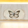 Duo Pratos Papillon - 5