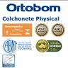 Colchonete Ortobom Physica Espuma D20 Solteiro Branco com detalhes azuis 78x188x04 - 3