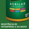 Tinta Cinza Elefante Acrílico Fosco Prêmium Brasilux 3,6L - 5