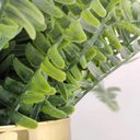 Ver imagem 4 de 8 Ramos Samambaia Flor Planta Artificial com 35 Folhas 40cm