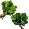 Kit 4 Plantas Artificiais Ficus para Arranjo e Ambientes Internos, Folhagem Durável para Decoração - 4