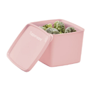 Ver imagem 5 de Tupperware Kit 3 Peças Jeitosinhos 800ml Aquamarine Rosa Bebê e Roxo