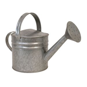 Mini Regador Galvanizado 3 Litros - Alta Durabilidade Uso Doméstico e Decoração Sf19